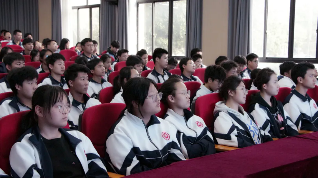 640.webp (1).png